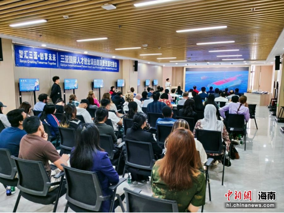 三亚国际人才创业项目路演暨资源对接会举行