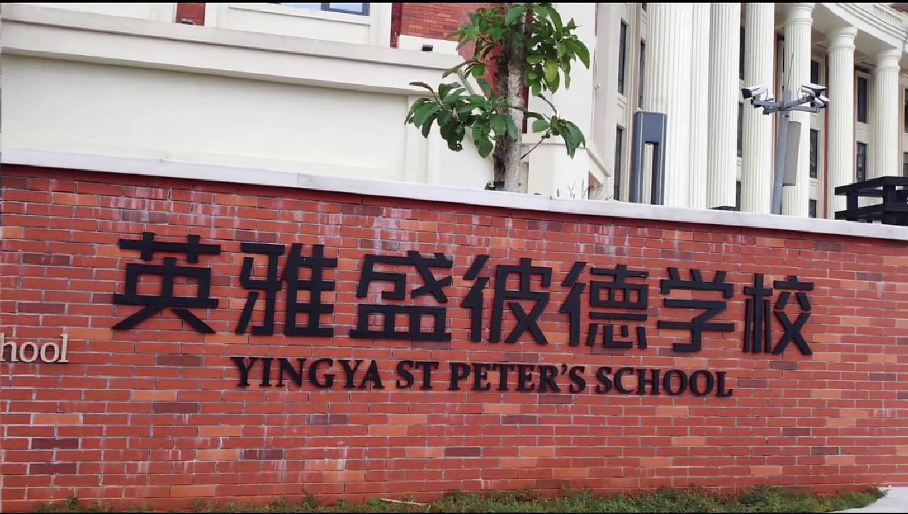 组织国际人才到国际人才教育社区对接就业创业事宜