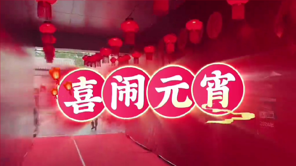 2026年国际人才体验参与府城换花节互动
