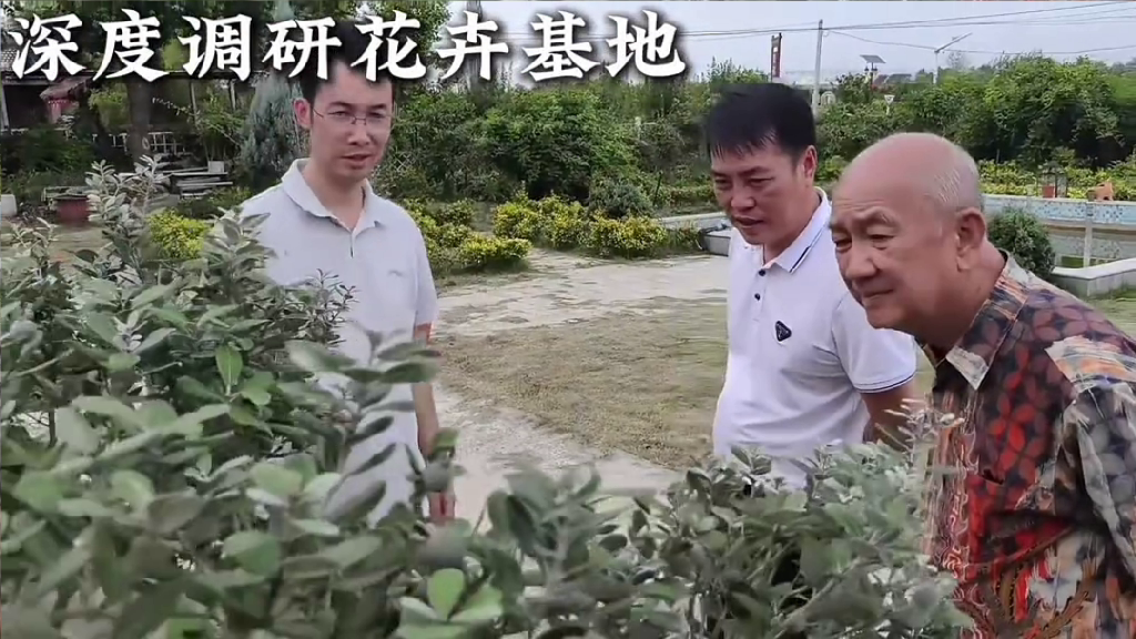 International Talents Inspect Industries in Dongbao, Hubei