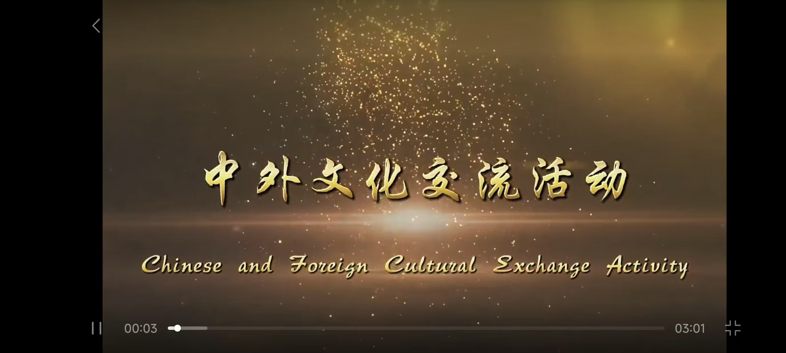 Chinese and Foreign Culture Exchange Activity